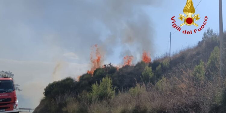 Incendio tra Castellabate e Perdifumo: in azione diverse squadre dei Vigili del Fuoco