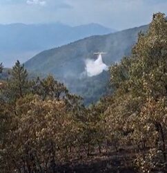Sala Consilina, ottavo giorno di fuoco in montagna: continuano le operazioni di spegnimento