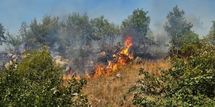 Ha ripreso ad ardere l’incendio a Polla. Ettari di bosco in fumo