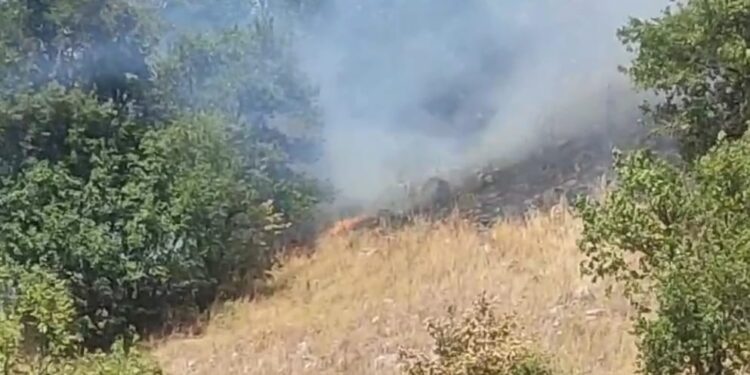 Un altro incendio a Polla. Fiamme in località “Intagliata”