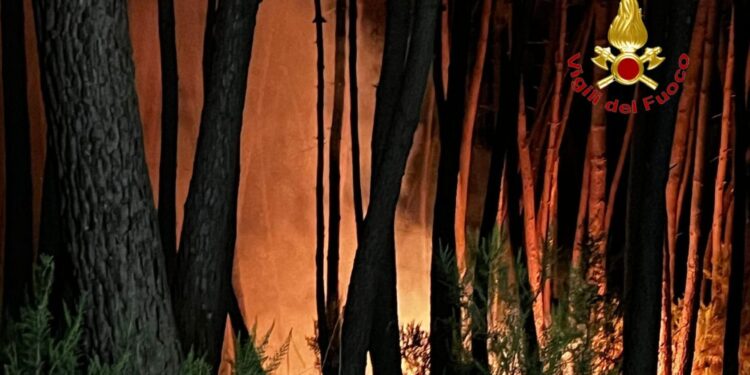 A Vibonati un rogo nell’area picnic. Vigili del fuoco in azione tutta la notte