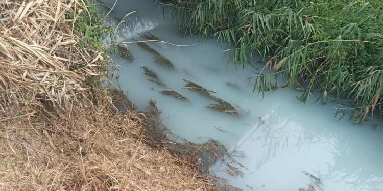 Ancora sversamenti nei canali del Vallo di Diano. Una scia bianca nel torrente Campigliole a Sassano