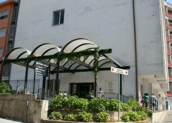 Febbre del Nilo: un uomo di 79 anni muore in ospedale