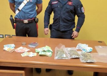 Trovato in casa con marijuana e 50 mila euro: arrestato un 48enne nel potentino