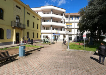 Grave carenza di personale all’Ospedale di Polla. La Fials  : “A rischio diritto alla salute”