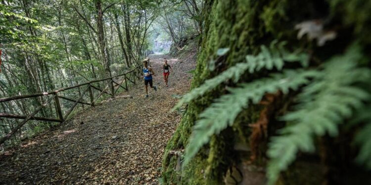 Grande successo per la quarta edizione del Romito Trail a Padula