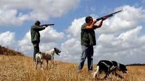 Caccia: via libera da giunta Campania a calendario venatorio