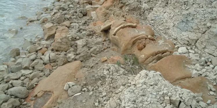 Secondo i geologi 800mila anni  fa a Matera c’era un arcipelago
