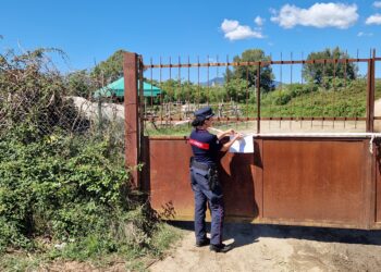 I Carabinieri sequestrano un maneggio ad Ascea