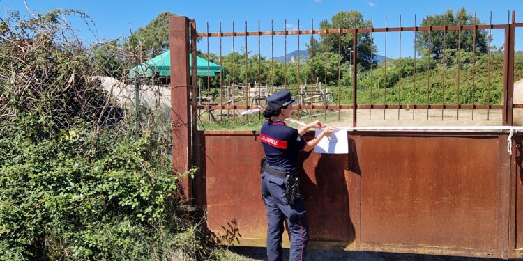 I Carabinieri sequestrano un maneggio ad Ascea