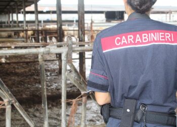 Denunciato un imprenditore agricolo a Capaccio Paestum per lo smaltimento illecito di rifiuti
