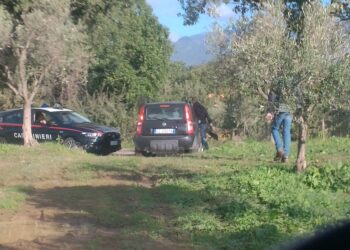 Serre: sequestrate armi modificate e richiami sonori: operazione dei Carabinieri e delle Guardie Ambientali di Accademia Kronos
