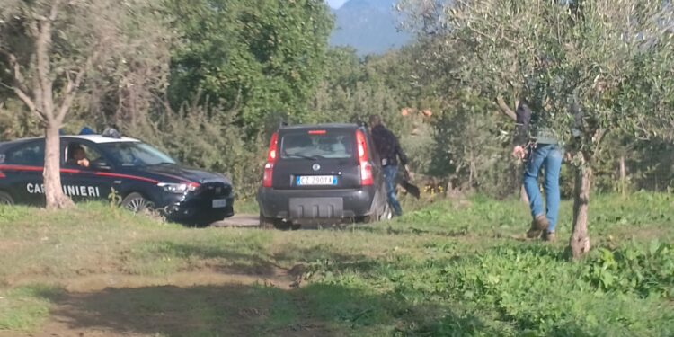 Serre: sequestrate armi modificate e richiami sonori: operazione dei Carabinieri e delle Guardie Ambientali di Accademia Kronos