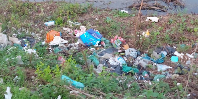 Degrado lungo il canale Demaniale Lamarelle. Il Consorzio di Bonifica: “Deve intervenire il Comune di Padula”