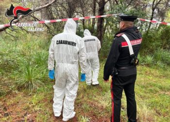 Giallo di Castellabate: rilasciato il compagno della tedesca morta e trovata in un bosco