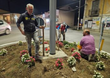 Sacerdote e cittadini  “giardinieri” a Sala Consilina: da mesi si occupano delle aiuole in  località Sant’Antonio