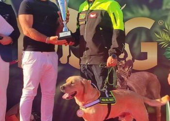Il cane eroe Ben ed il vigile del Fuoco, Giuseppe D’Amato del Comando di Salerno premiati allo “Showdog” di Marcianise