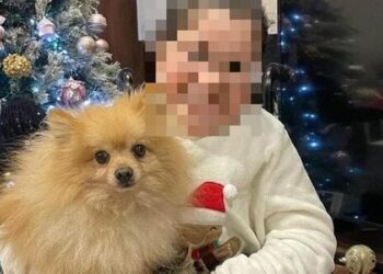 Restituito ad Acerra il cagnolino rubato a una bambina disabile