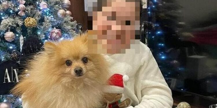 Restituito ad Acerra il cagnolino rubato a una bambina disabile