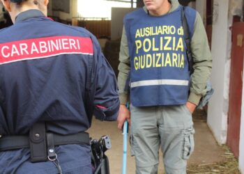 A Capaccio denunciata un’imprenditrice per lo smaltimento illecito di rifiuti
