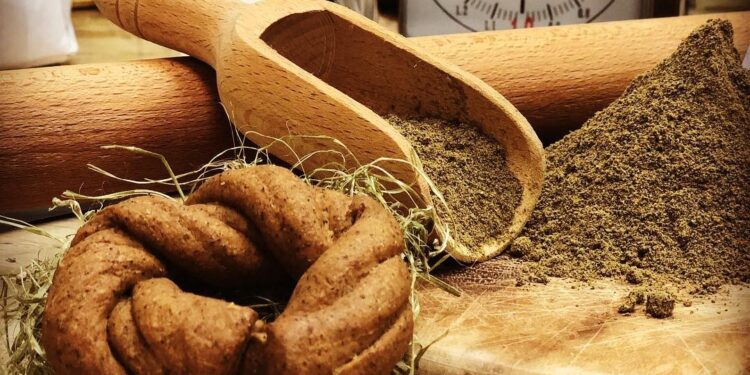 La canapa della Campania domani a Roma alla manifestazione di Coldiretti