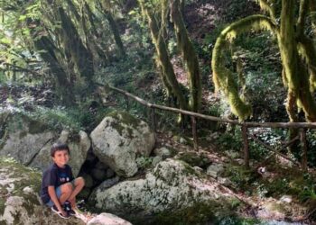Morigerati. In assenza di scuole, il Comune attiva doposcuola gratuito per i bambini
