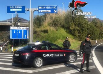 Detenzione e spaccio di droga: 18enne di Pollica ai domiciliari