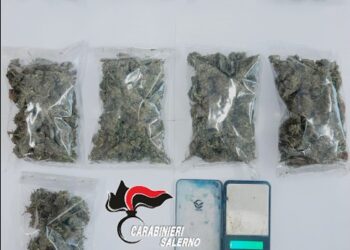 Spaccio a Ceraso: fermato e arrestato un uomo in possesso di marijuana