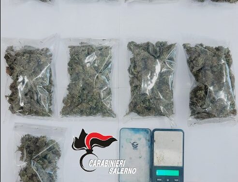 Spaccio a Ceraso: fermato e arrestato un uomo in possesso di marijuana