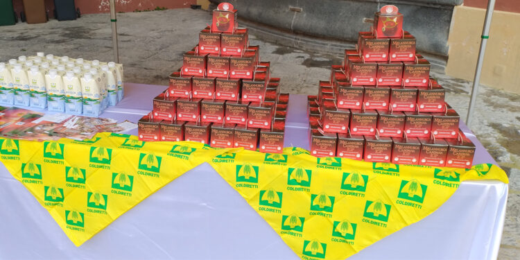 Coldiretti-Campagna Amica: nei mercati contadini raccolti 10 milioni di chili di cibo per i bisognosi