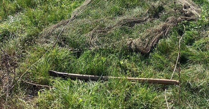 Tito: i Carabinieri Forestali liberano 30 cardellini e denunciano due persone