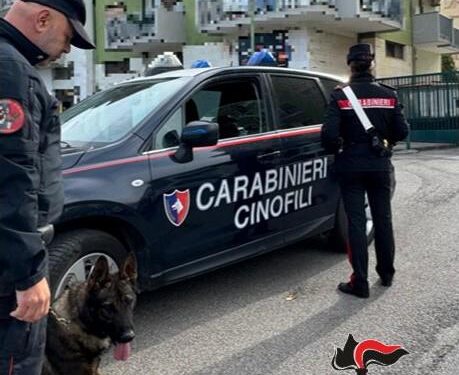 Controlli antidroga nella scuole di Salerno