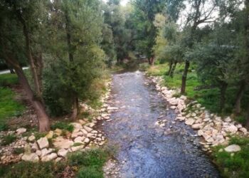 Analisi dell’Arpab sulle acque del fiume Basento: non sono emerse criticità
