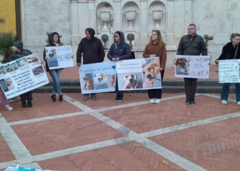 A Sala Consilina la manifestazione per Blanco, il cane ustionato con l’olio bollente