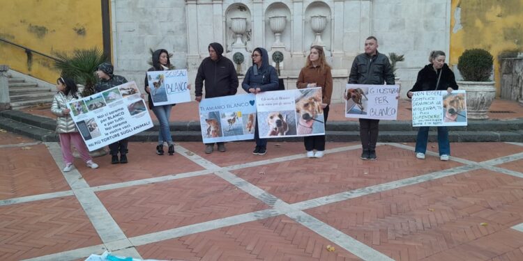 A Sala Consilina la manifestazione per Blanco, il cane ustionato con l’olio bollente