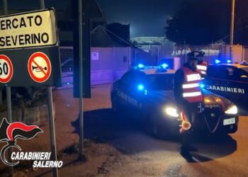 Controlli straordinari dei carabinieri di Mercato San Severino: 8 denunce