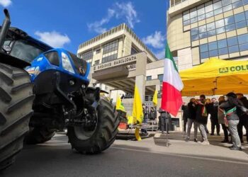 Crisi agricola in Basilicata. Coldiretti chiede l’istituzione di un tavolo di crisi