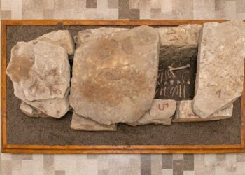 Importante finanziamento per Museo Antiquarium Civico di Caggiano