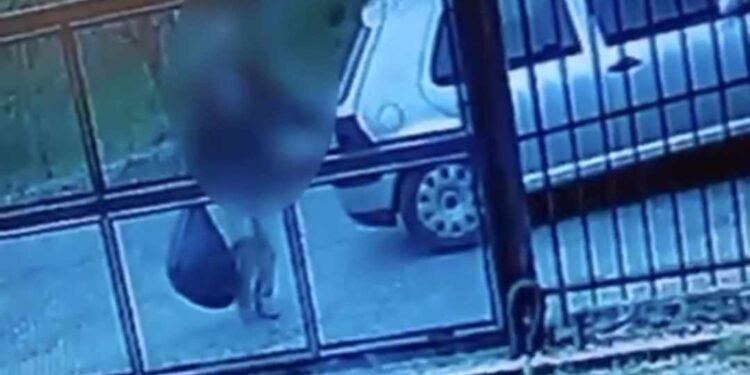 Abbandonano rifiuti a Roscigno: individuati e sanzionati