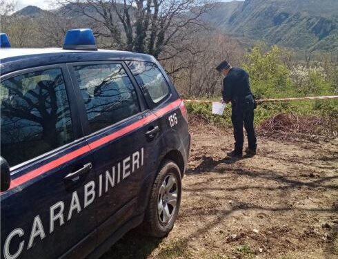 Bilancio 2024 dei carabinieri forestali di Salerno: 342 denunce e sanzioni per oltre 580mila euro