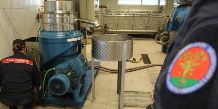 Grave inquinamento ambientale a Roccadaspide: denunciato il titolare di un frantoio oleario