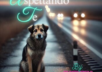 “Aspettando te”, il singolo di Cono Gallo di Sala Consilina sull’abbandono degli animali