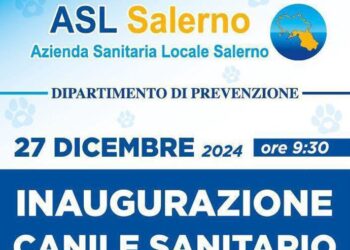 Inaugurazione del Canile Sanitario a Mercato San Severino: un nuovo servizio per la protezione degli animali