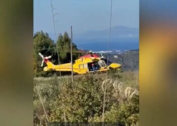 Montecorice. Agricoltore incornato da un toro cade in una scarpata, ricoverato al “Ruggi” di Salerno