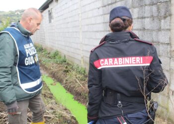Smaltimento illecito di reflui: sequestrata un’azienda bufalina a Capaccio Paestum