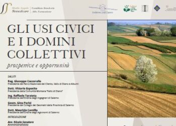 “Gli usi civici e i domini collettivi”. Nella Sala del Consilium Senatoris la conferenza nazionale sul tema