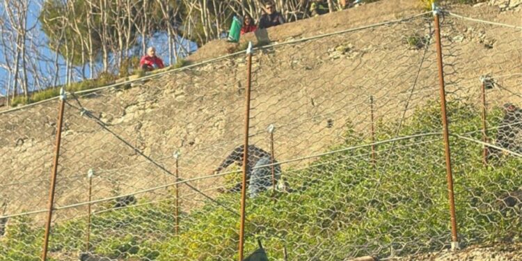 Si sporge da un muretto e cade in un terrapieno: paura a Salerno per un’80enne