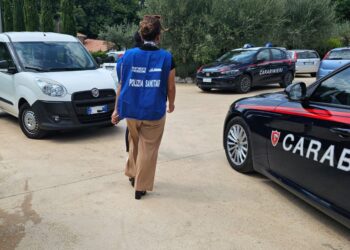 Carenze igieniche, chiude un bar ad Auletta. Tre furti a Pertosa