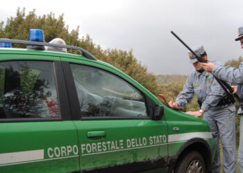 Denunciati i titolari di due aziende di allevamento a Capaccio Paestum per sversamenti illeciti