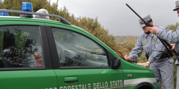 Denunciati i titolari di due aziende di allevamento a Capaccio Paestum per sversamenti illeciti